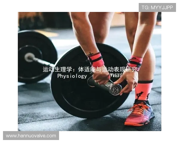 全面提升运动表现的科学方法与训练技巧解析