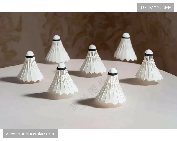 北京羽毛球队的节奏革新探索与实践：重塑竞技风格与团队协作新模式