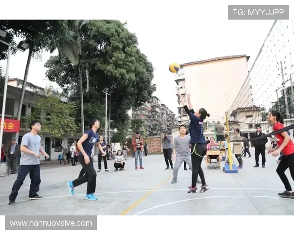 成都排球队的速度与激情探索排球运动的魅力与发展之路