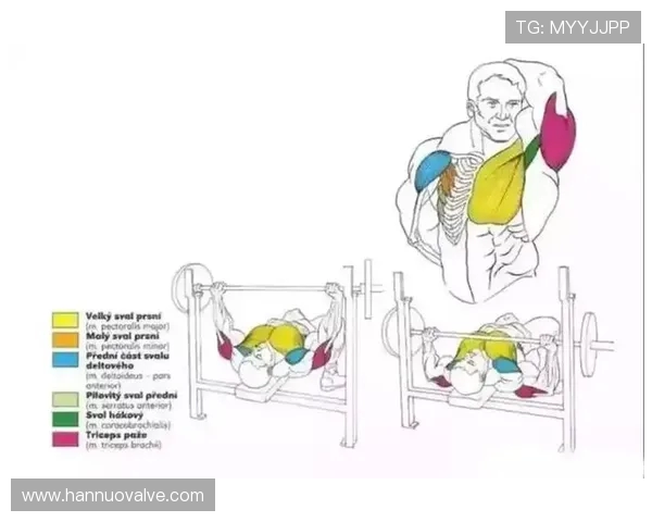 打造强健体魄的健身计划 从基础训练到进阶技巧全方位指南